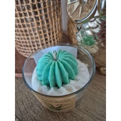 Bougie Aloe Vera