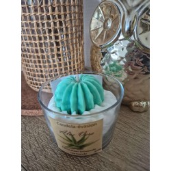 Bougie Aloe Vera