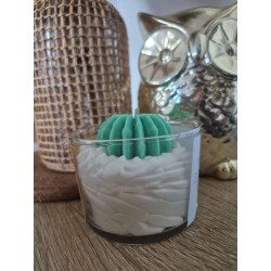 Bougie Aloe Vera