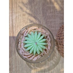 Bougie Aloe Vera